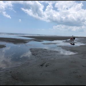 Meet your Posher, Alexia